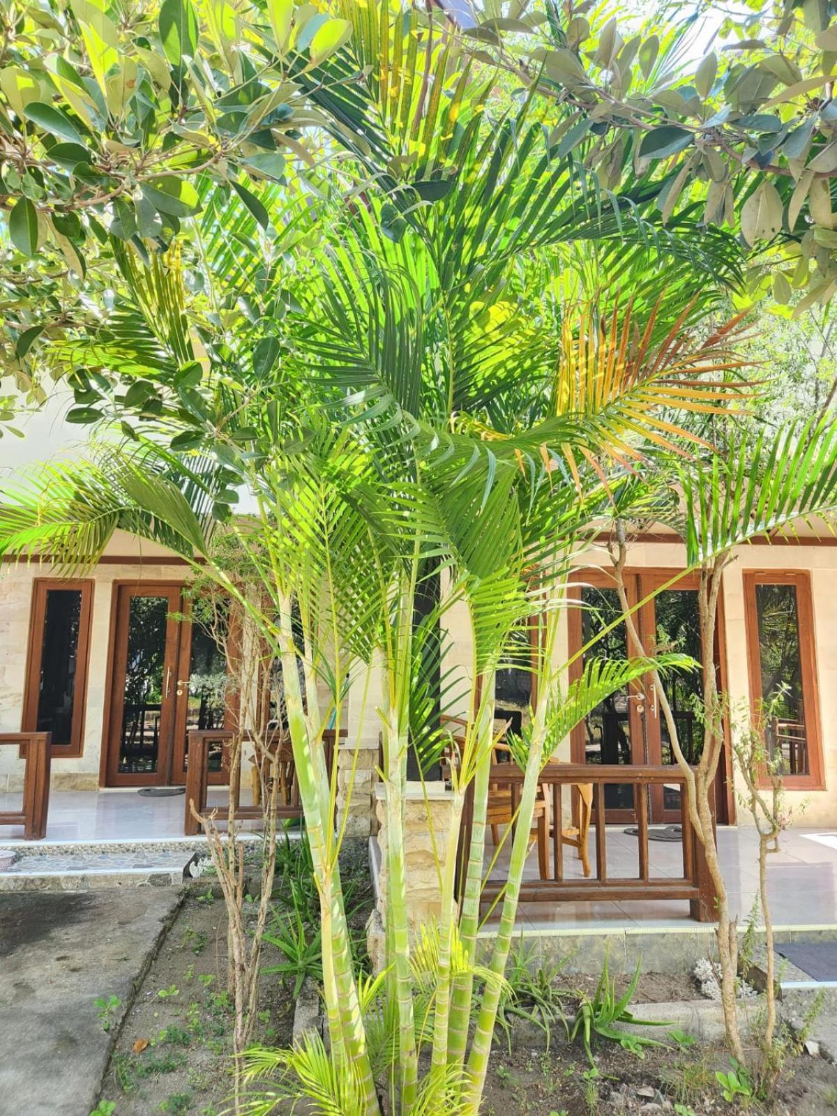 Run Gilis Apartment Gili Meno Exterior photo